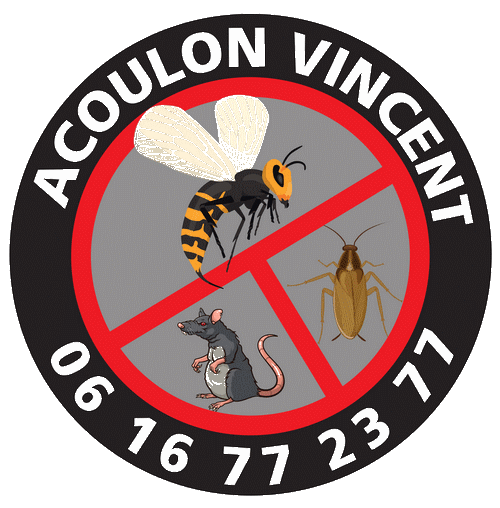 AV-3D ACOULON VINCENT